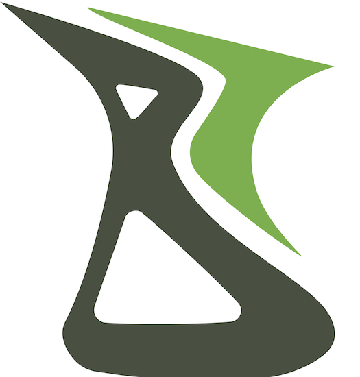 BRAS Chem Logo BRAS Chemicals - Bharat Rasayan Advanced Specialty Chemicals